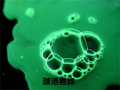 (珈洛君烨)最新章节在线阅读-小说无弹窗免费阅读