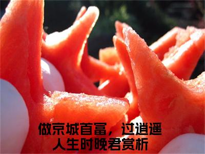 做京城首富，过逍遥人生时晚君高赞小说完结阅读（做京城首富，过逍遥人生时晚君全文免费阅读）_做京城首富，过逍遥人生时晚君全文免费阅读