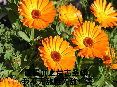 重瞳加上荒古圣体，我不无敌谁无敌！姜太虚首发小说-重瞳加上荒古圣体，我不无敌谁无敌！姜太虚(重瞳加上荒古圣体，我不无敌谁无敌！姜太虚)无删减版全文在线