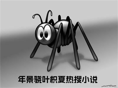 年景骁叶枳夏（年夫人，你的马甲被少爷扒了）全文免费阅读无弹窗大结局_年景骁叶枳夏小说全文免费阅读最新章节列表（年夫人，你的马甲被少爷扒了）
