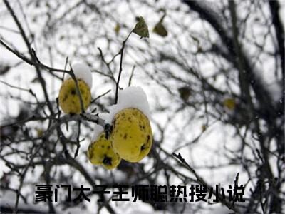 豪门太子王师聪（豪门太子王师聪）最新热门小说-豪门太子王师聪免费阅读