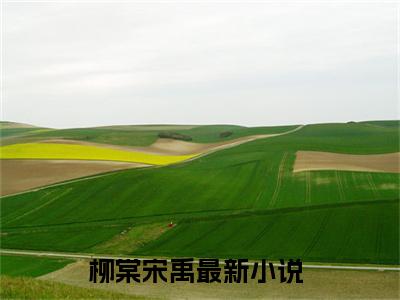 柳棠宋禹全网首发最新小说-柳棠宋禹全文在线免费阅读