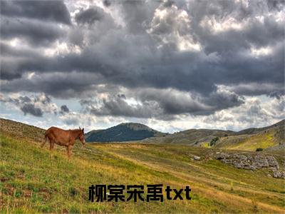柳棠宋禹小说全文-柳棠宋禹小说免费阅读大结局