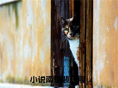南鸯裴珏宸在线阅读（南鸯裴珏宸小说）全文免费阅读无弹窗大结局_南鸯裴珏宸免费最新章节列表_笔趣阁（南鸯裴珏宸小说）