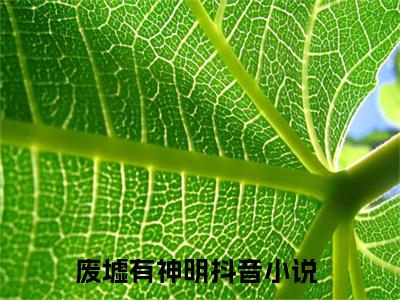 傅司九冯芜全文免费阅读无弹窗大结局_（废墟有神明）傅司九冯芜在线阅读无弹窗