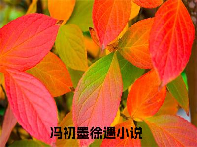 冯初墨徐遇的小说免费阅读（冯初墨徐遇的小说免费阅读）全文完整版免费阅读