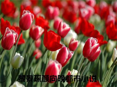 黎景琛颜向晚高赞小说完结阅读（黎景琛颜向晚全文免费阅读）_黎景琛颜向晚全文免费阅读