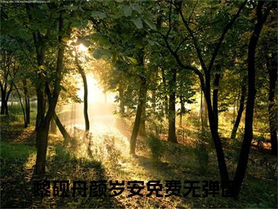 最火言情小说（黎砚舟颜岁安）-老书虫良心推荐黎砚舟颜岁安（黎砚舟颜岁安）小说精彩免费试读
