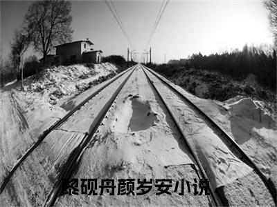 小说（黎砚舟颜岁安）最新章节免费阅读-（黎砚舟颜岁安）小说全文无删减版