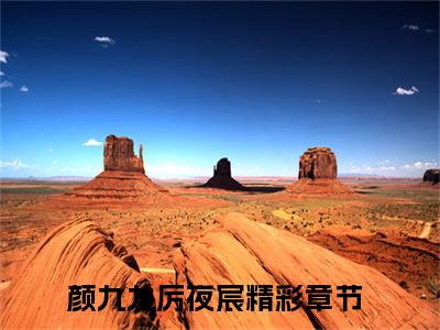 颜九九厉夜宸长篇小说免费阅读-小说最新试读