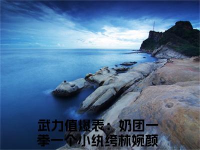 武力值爆表：奶团一拳一个小纨绔林婉颜（武力值爆表：奶团一拳一个小纨绔林婉颜)全文免费阅读无弹窗大结局_武力值爆表：奶团一拳一个小纨绔林婉颜全文完整无删减版免费阅读（武力值爆表：奶团一拳一个小纨绔林婉颜）