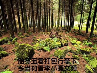 胎穿五零打包行李下乡当知青李小暖(胎穿五零打包行李下乡当知青李小暖)全文免费读无弹窗大结局_胎穿五零打包行李下乡当知青李小暖免费阅读全文大结局最新章节列表_笔趣阁