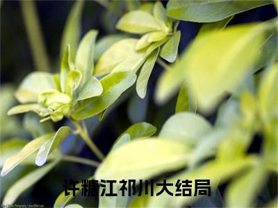 许糖江祁川（许糖江祁川）全文免费阅读无弹窗大结局_（许糖江祁川）许糖江祁川免费阅读最新章节列表笔趣阁（许糖江祁川）