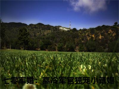 （七零军婚：高冷军官独宠小辣媳）是什么小说-林楠战北川全文免费阅读无弹窗大结局（七零军婚：高冷军官独宠小辣媳）最新章节列表