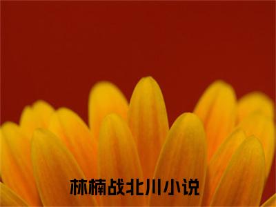林楠战北川（七零军婚：高冷军官独宠小辣媳）全文免费阅读无弹窗大结局_（七零军婚：高冷军官独宠小辣媳）免费阅读无弹窗最新章节列表