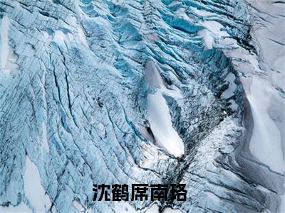 沈鹤席南珞免费阅读目录 沈鹤席南珞小说全文