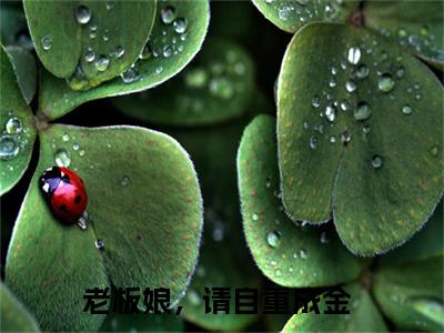 老板娘，请自重成金（老板娘，请自重成金）无弹窗小说免费阅读_老板娘，请自重成金最新章节免费阅读_笔趣阁