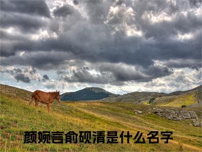 颜婉言俞砚清小说全文免费阅读 （颜婉言俞砚清）免费阅读全文免费阅读无弹窗大结局