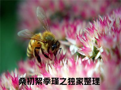 桑初絮季瑾之（桑初絮季瑾之）全文免费阅读无弹窗大结局_（桑初絮季瑾之阅读无弹窗）桑初絮季瑾之最新章节列表_笔趣阁（桑初絮季瑾之）