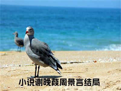 谢晚葭周景言(谢晚葭周景言)全文免费阅读_谢晚葭周景言章节免费阅读-笔趣阁