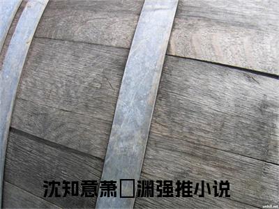 沈知意萧璟渊（我死在了萧璟渊大婚的这天）全文免费阅读无弹窗大结局_（沈知意萧璟渊无弹窗）我死在了萧璟渊大婚的这天最新章节列表阅读_笔趣阁