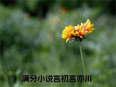 言初言亦川（言初言亦川）全文免费阅读无弹窗大结局_（言初言亦川）言初言亦川章节列表