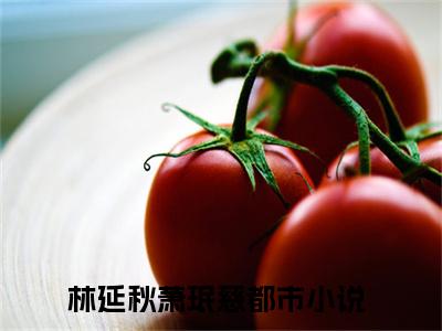 林延秋萧珉慈（林延秋萧珉慈）全文阅读_小说林延秋萧珉慈免费阅读（林延秋萧珉慈）笔趣阁
