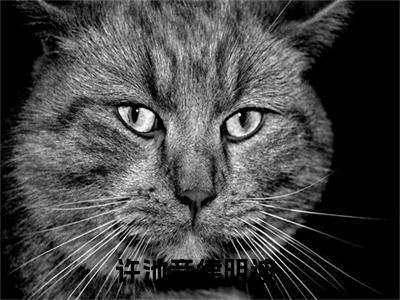 陌生回忆涌上心头（许池音律明迪）全文无弹窗大结局_陌生回忆涌上心头小说最新章节列表