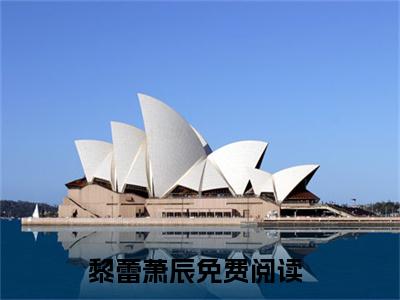 黎蕾萧辰最新章节-（换脸人生）黎蕾萧辰全文在线阅读无弹窗