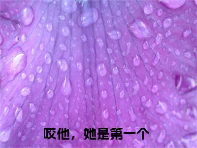 储元冶贺清欢最新章节，储元冶贺清欢今日热议小说完本阅读