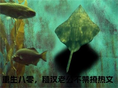 白棉贺骁在线阅读（重生八零，糙汉老公不禁撩）全文免费阅读大结局_白棉贺骁免费最新章节列表_笔趣阁