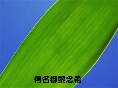 傅名御黎念希（生死之极，原来十米是那么远）笔趣阁免费小说_傅名御黎念希笔趣阁最新章节生死之极，原来十米是那么远免费在线阅读大结局