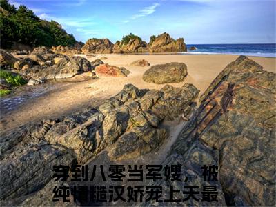 纪嘉宝战景铄全文免费阅读无弹窗大结局_穿到八零当军嫂，被纯情糙汉娇宠上天最新章节列表笔趣阁