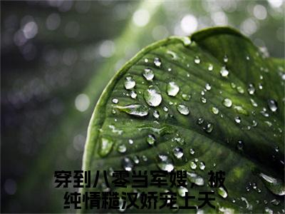 纪嘉宝战景铄（穿到八零当军嫂，被纯情糙汉娇宠上天）全文无弹窗阅读-纪嘉宝战景铄（穿到八零当军嫂，被纯情糙汉娇宠上天）最新章节完整版阅读