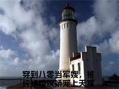 穿到八零当军嫂，被纯情糙汉娇宠上天（纪嘉宝战景铄）新上热文免费阅读-穿到八零当军嫂，被纯情糙汉娇宠上天（纪嘉宝战景铄）无广告在线阅读