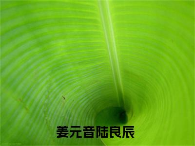 姜元音陆良辰（姜元音陆良辰）全文免费阅读大结局-姜元音陆良辰最新章节列表笔趣阁