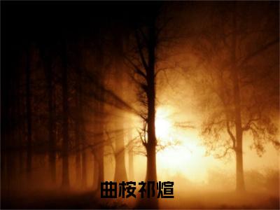 曲桉祁煊下个路口不爱了完整全文在线阅读下个路口不爱了抖音热推小说全集无删减