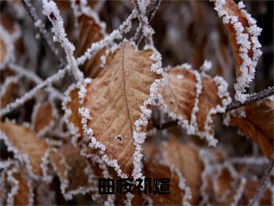曲桉祁煊（下个路口不爱了）全本完整版免费阅读_（曲桉祁煊）下个路口不爱了全文章节目录_笔趣阁