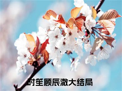 时光等不来余生小说全文无删减-时笙顾辰澈时光等不来余生小说大结局免费阅读