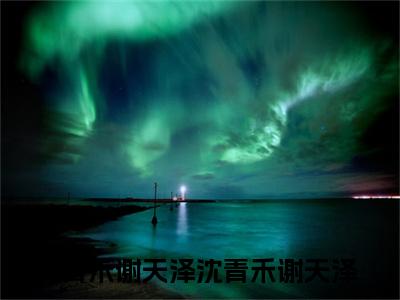 沈青禾谢天泽全文免费阅读_（沈青禾谢天泽小说）沈青禾谢天泽言情小说在线阅读笔趣阁（沈青禾谢天泽）