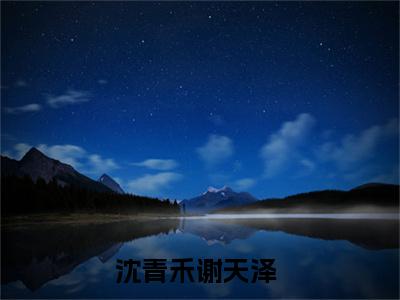 沈青禾谢天泽（沈青禾谢天泽）全文免费阅读无弹窗大结局_沈青禾谢天泽最新章节列表-笔趣阁沈青禾谢天泽