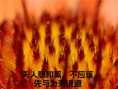 主角是夫人想和离，不应该先与为夫说道的小说叫什么名字温念棠周墨尘精彩结局阅读