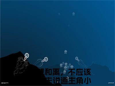 主角叫夫人想和离，不应该先与为夫说道的小说-（温念棠周墨尘）夫人想和离，不应该先与为夫说道全文无弹窗完整版阅读
