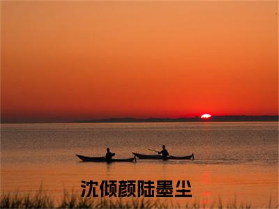 沈倾颜陆墨尘小说全文免费阅读小说陆墨尘沈倾颜热门小说完整版阅读