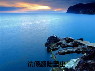 沈倾颜陆墨尘全文（沈倾颜陆墨尘）抖音热推小说全集无删减_沈倾颜陆墨尘免费最新章节列表_笔趣阁