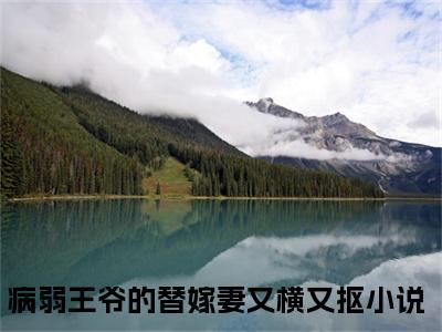 苏落落萧行渊小说免费阅读（病弱王爷的替嫁妻又横又抠）全文免费阅读大结局-（苏落落萧行渊小说免费阅读）好书推荐