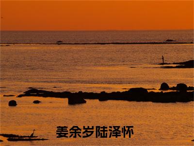 姜余岁陆泽怀（姜余岁陆泽怀）全本完整版免费阅读_（姜余岁陆泽怀）姜余岁陆泽怀全文章节目录_笔趣阁