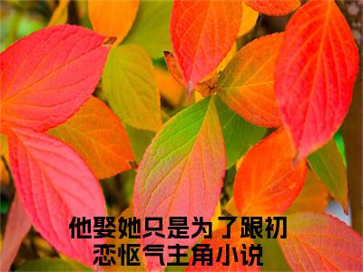 他娶她只是为了跟初恋怄气（戚梦梦路长珩）小说全文免费阅读正版无弹窗戚梦梦路长珩全文无弹窗阅读