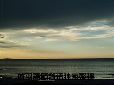 戚羽蔷顾简清（戚羽蔷顾简清）全文免费阅读无弹窗大结局_（戚羽蔷顾简清小说免费阅读）_笔趣阁