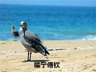 喻宁傅钦免费（喻宁傅钦）全文免费阅读无弹窗大结局_喻宁傅钦免费最新章节列表_笔趣阁